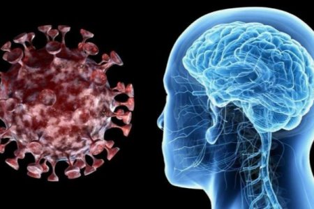 Liverpul Universiteti, London Universitetinin Kolleci, Yale Universiteti və İkon Tibb Fakültəsinin mütəxəssisləri koronavirus infeksiyasının insan beyni üçün dağıdıcı nəticələrə səbəb ola biləcəyini iddia edib.